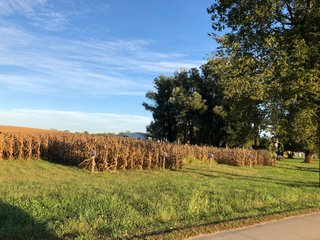 Property photo 63 - MAJOR LAND AUCTION - 1,085+/- ACRES IN 24 TRACTS IN HENRY & WAYNE COUNTIES, INDIANA